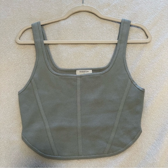 Aritzia Babaton Sculpt Knit Bustier Tank - Picture 3 of 3